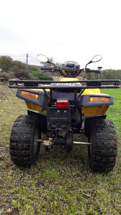 Vand atv DINLI 110cc