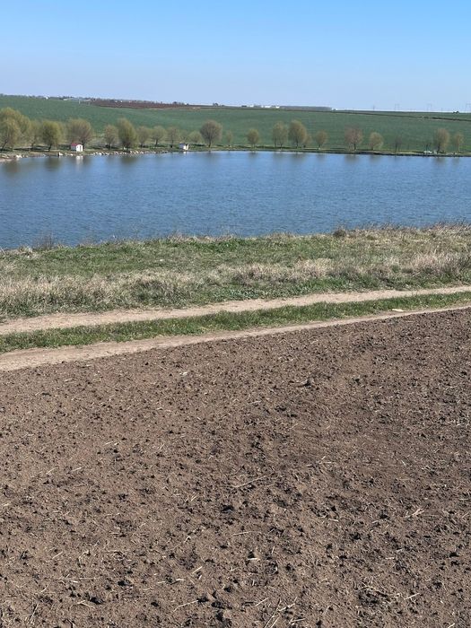 Teren  la balta Crang