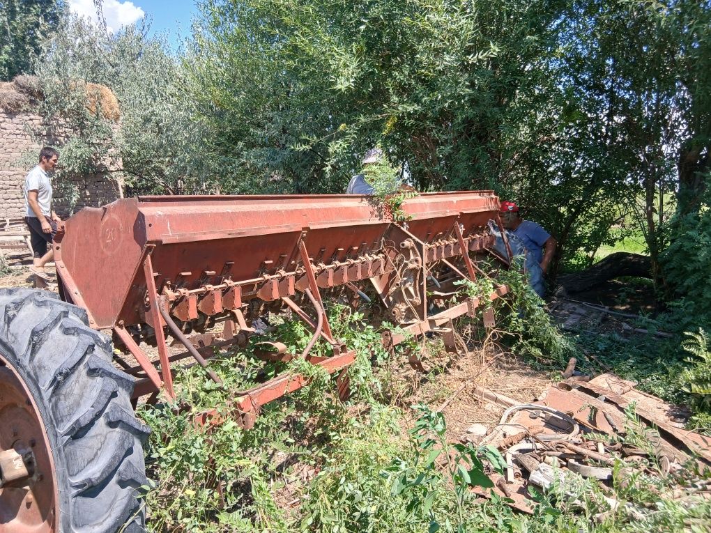 Selka bugdoy ekadi
