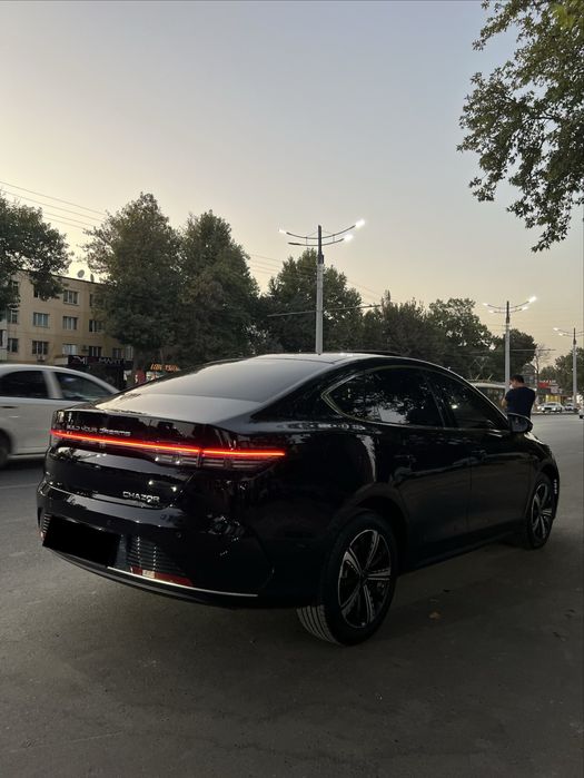 Byd Chazor Flagship Full Позится