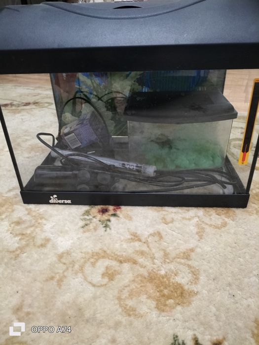 Acvariu Diversa 30 litri