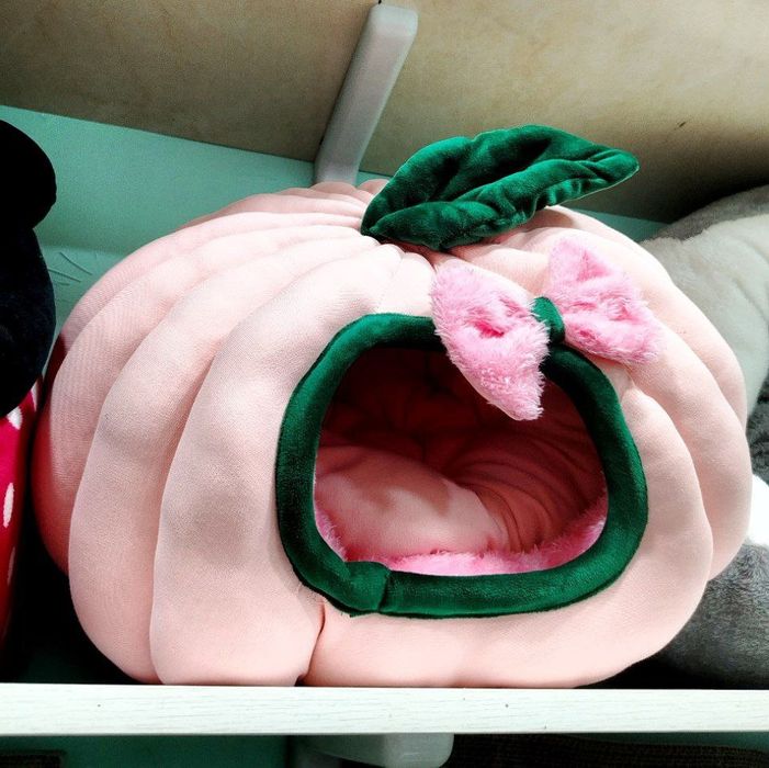 Домики для кошек и собак