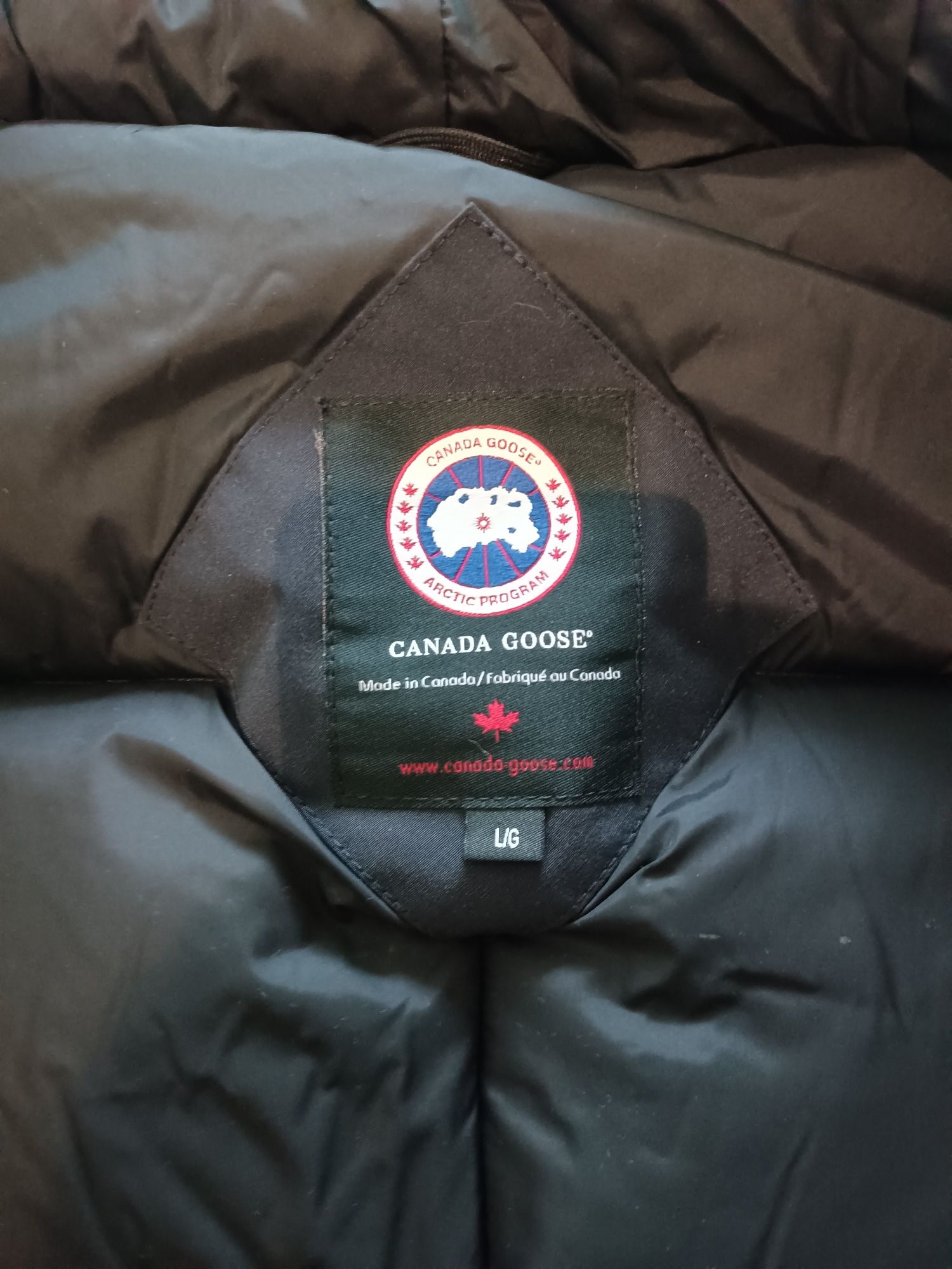 Canada goose expedition