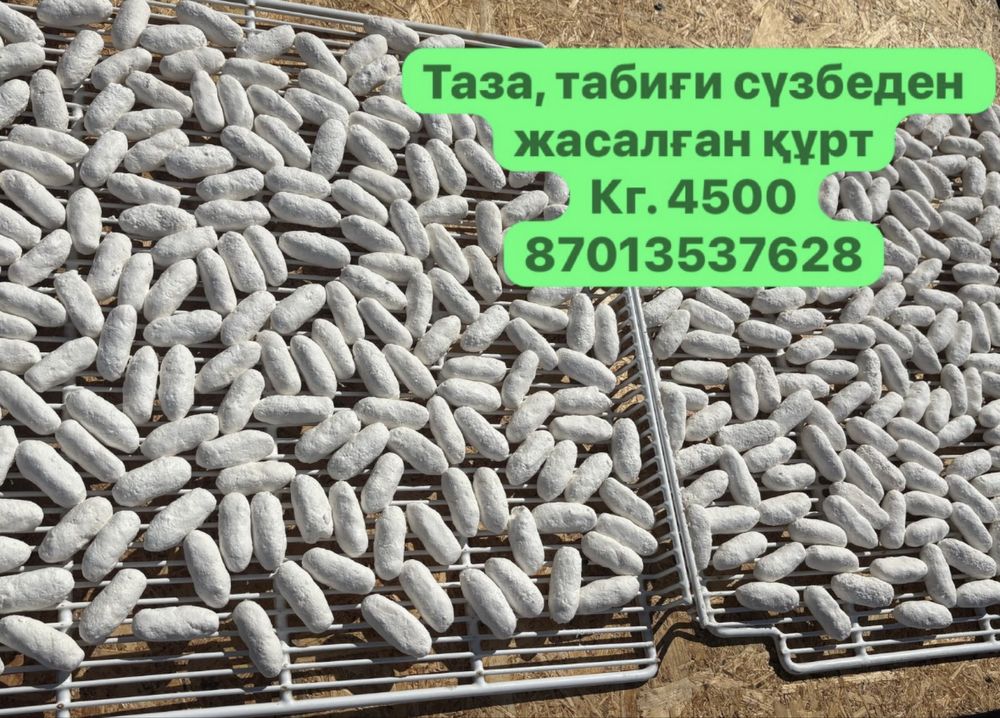 Қолдың таза табиғи құрты