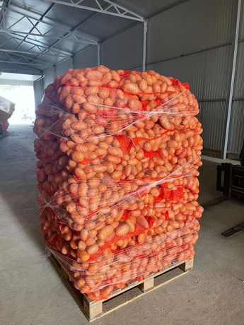 Cartofi Arizona plase 10kg