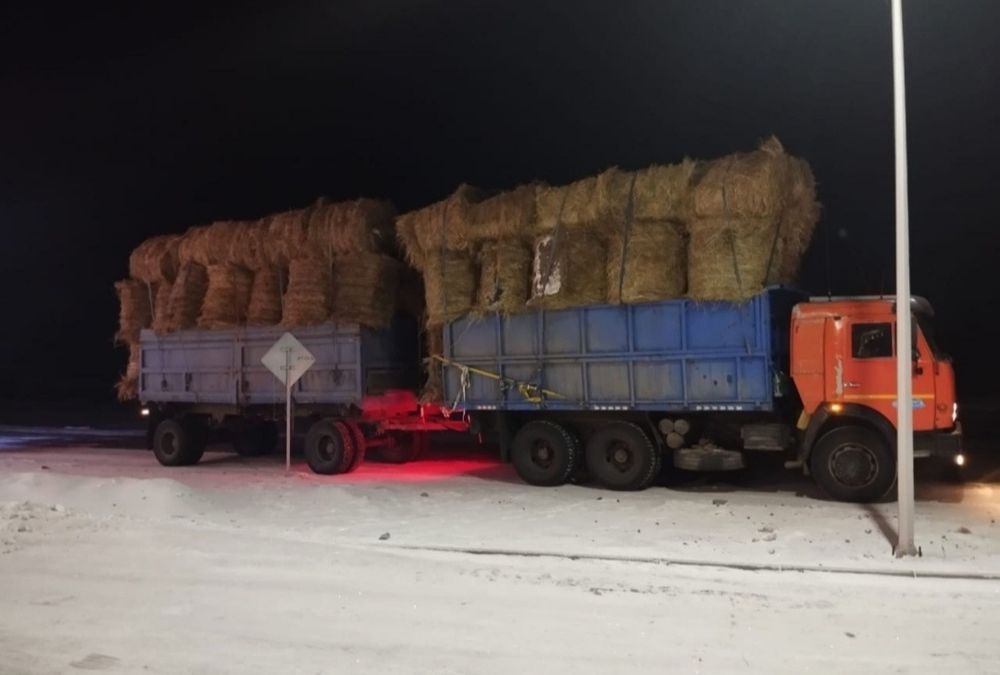 Сено в Тюках и Руллонах