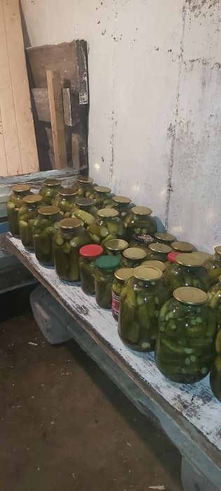 Продам домашние заготовки