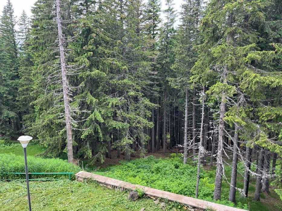 Hotel situat in Rânca