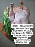 Продам мясо домашнего бройлера!!!