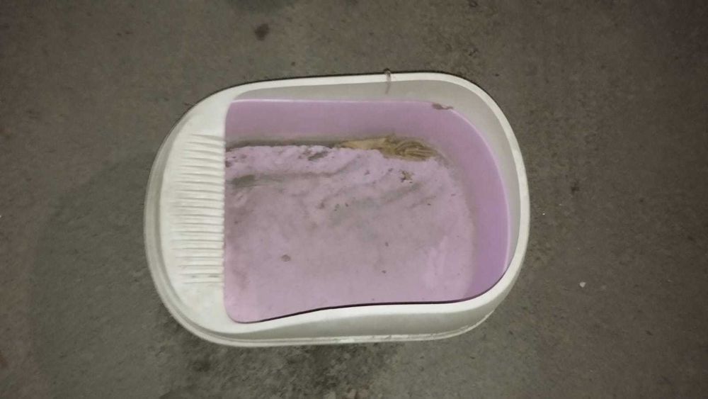 Лоток для кошки большой