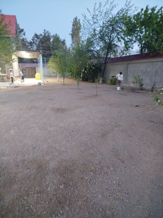 Идеальный газон для вашего двора свежий густой зелёный от 16 до 65 тыс