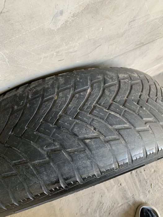 Petlas R15 205/65 Ёлка шина