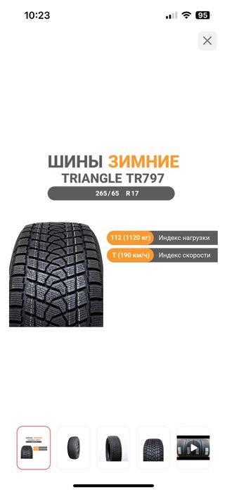 Зимние шины Triangle