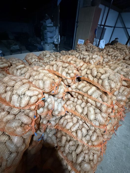 Cartofi albi soi:prada