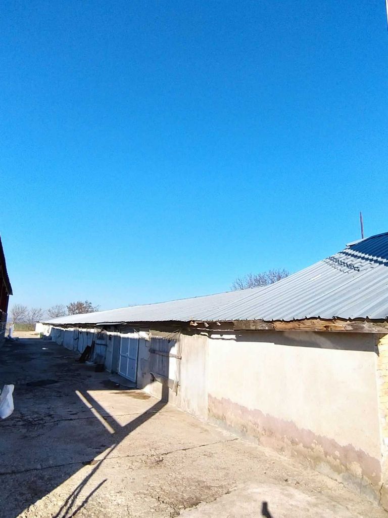 Продава се Склад в Търговище, Въбел - 1216 кв.м за 286 €/кв.м - Снимка #5