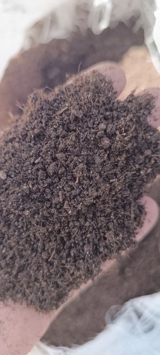 Продается натуральный Биогуммус 1000% гарантия.