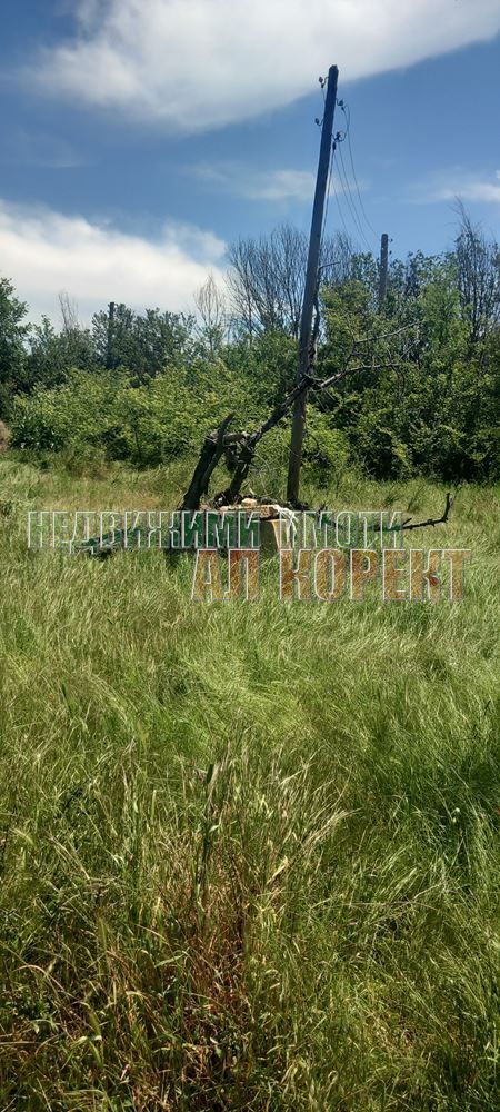 Парцел в Варна, област-с.Кривня площ 2620 цена 26000