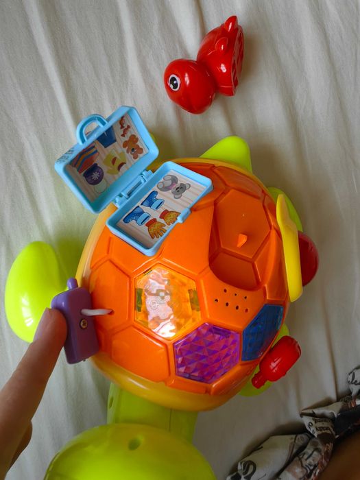 Музикална костенурка