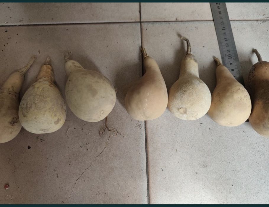 Кратуни за декорация