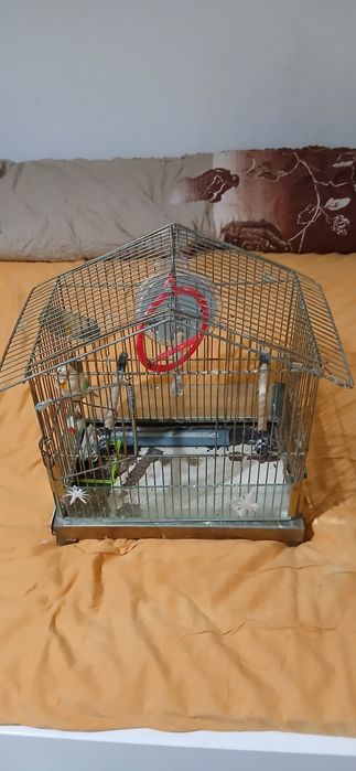 Doua colivi de vanzare