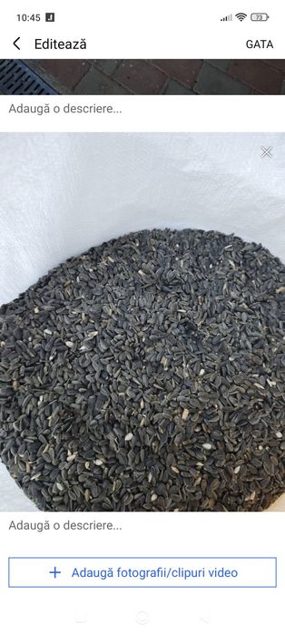 Vând semințe de floarea soarelui.