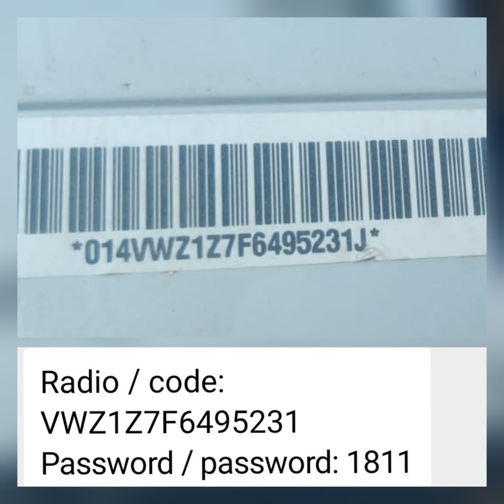 RCD210, 310 ,510 Rns 300, 315pin safe decodare