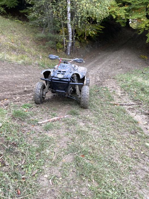 De vinzare Linhai 300 2x4