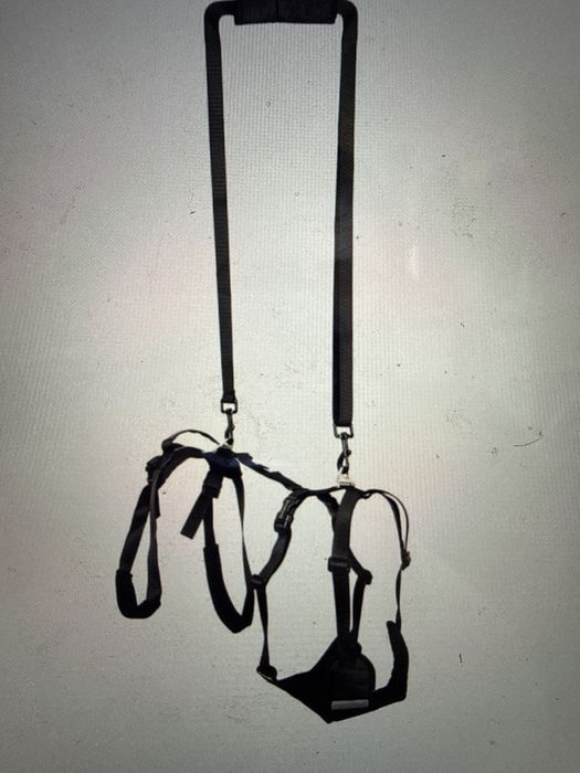 Ham ortopedic caine talie mica