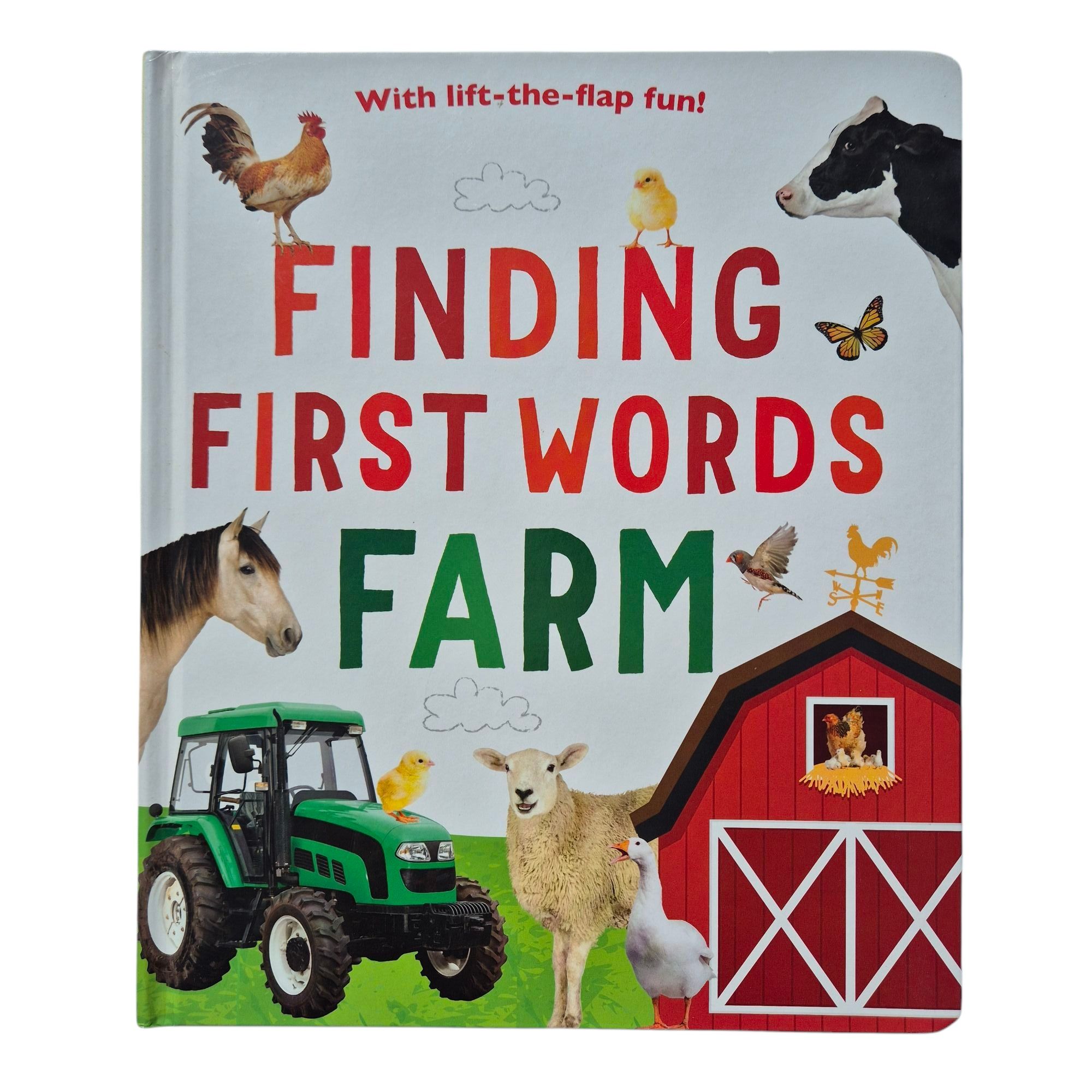 Lot 6 cărți educative tip „lift-the-flap” copii – Usborne, engleza