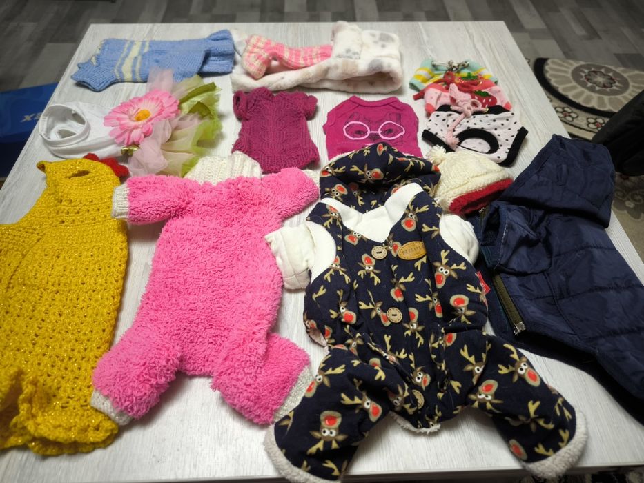 Одежда для собак чихуахуа