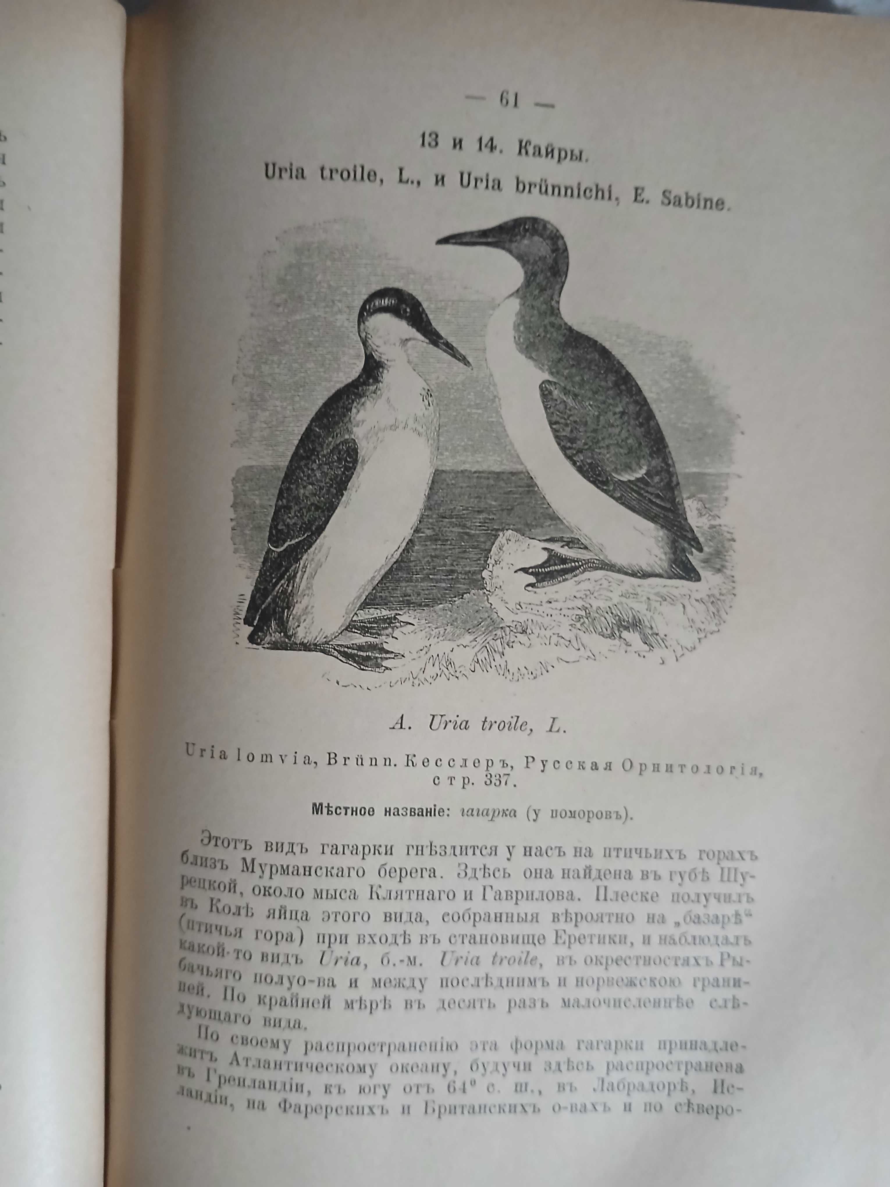 Птицы России 1895 год.