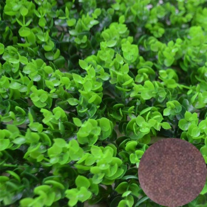 Plante acvariu - seminte - aquascaping