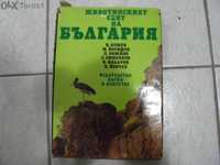 книга за животни