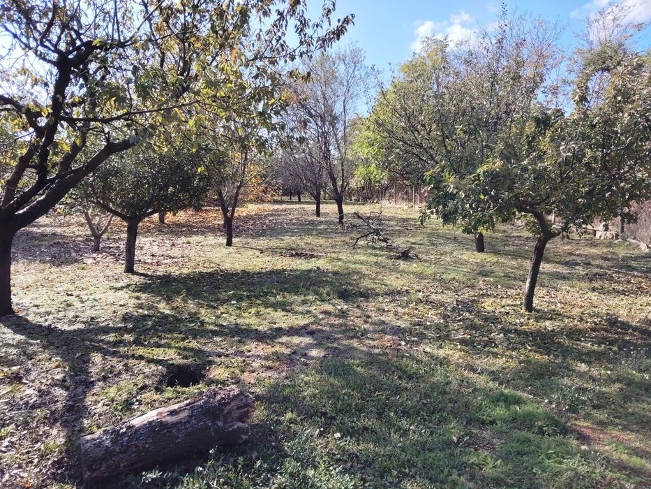 Къща в Екзарх Йосиф