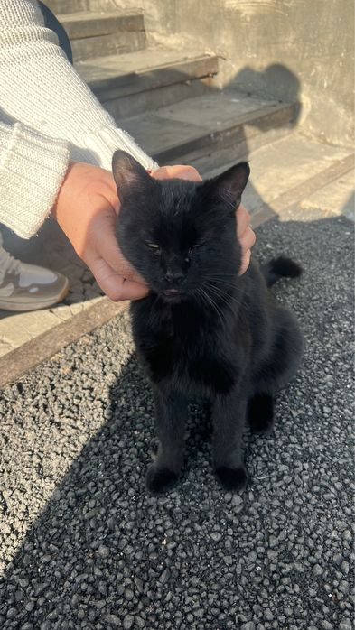 .	Помогите малышу встретить зиму в тепле