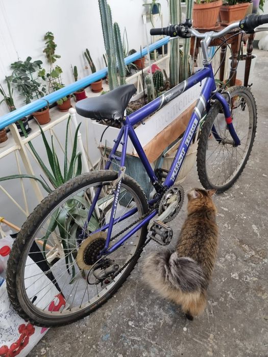 Bicicleta First Bike