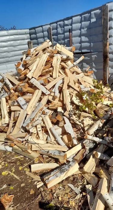 Таза ақ қайың дрова берёза