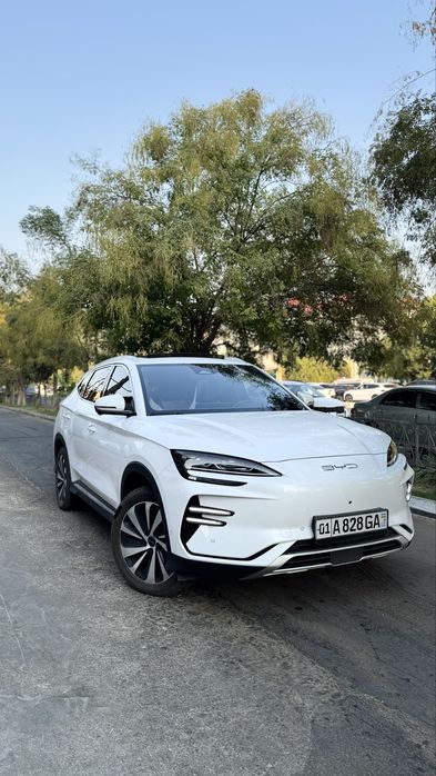 Byd champion 2024 yil 605 km