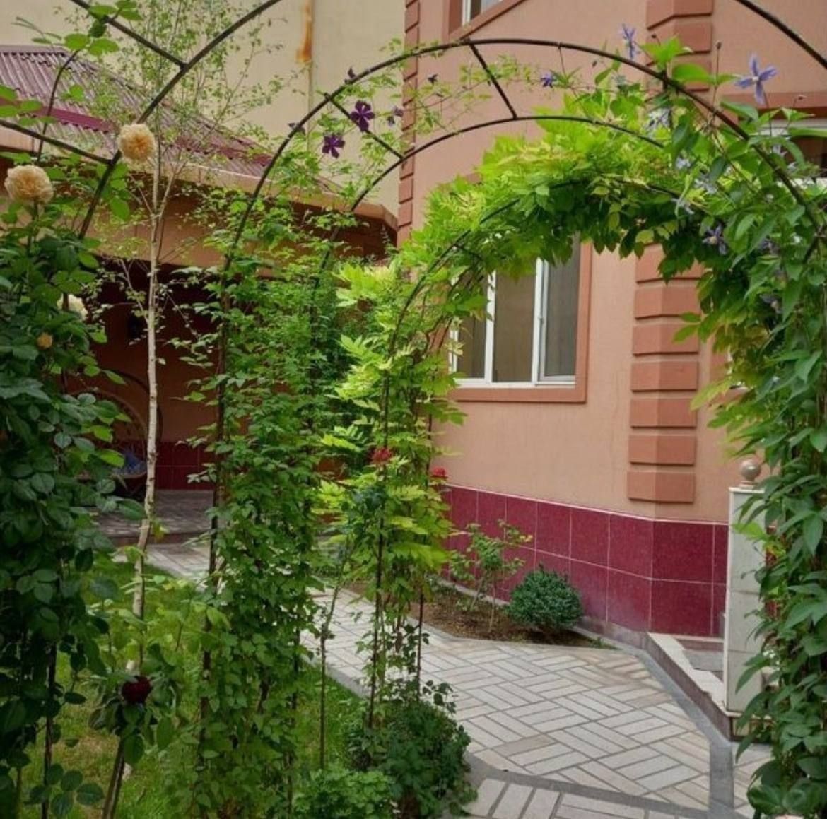 Ракат Мукуми' 4.69 сотки фасад 22 м.$ Договорная