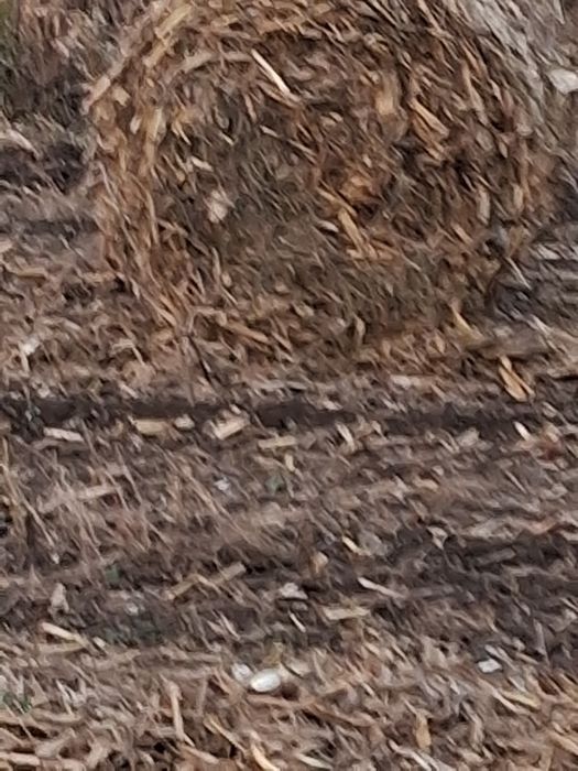 Vnd baloti rotunzi pănuși și pae