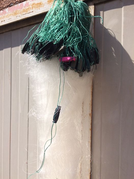 Plase pescuit cu radine