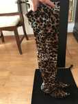 Cizme Giuseppe Zanotti