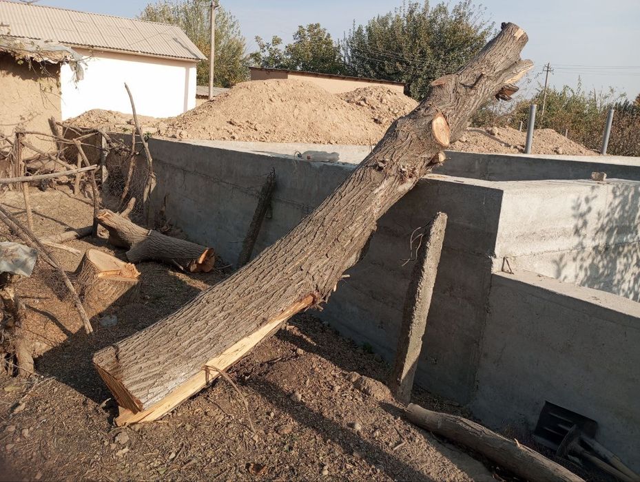 Yongʻoq kundasi qurilish uchun