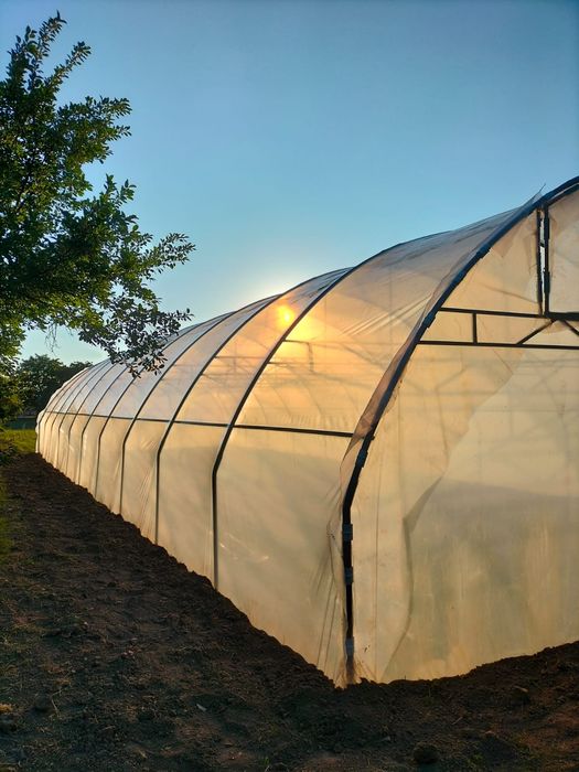 Sere și solarii ieftine complete