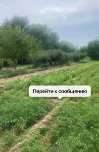 Продам фазенду срочно