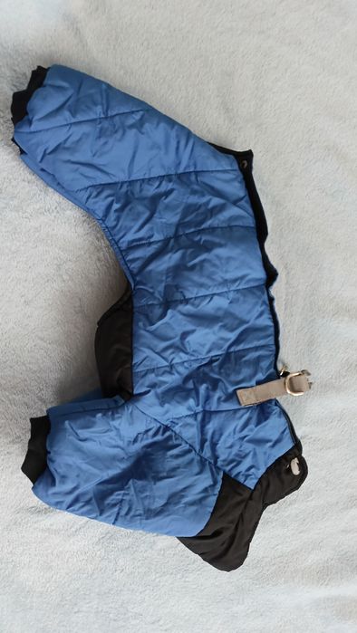 Одежда для собак