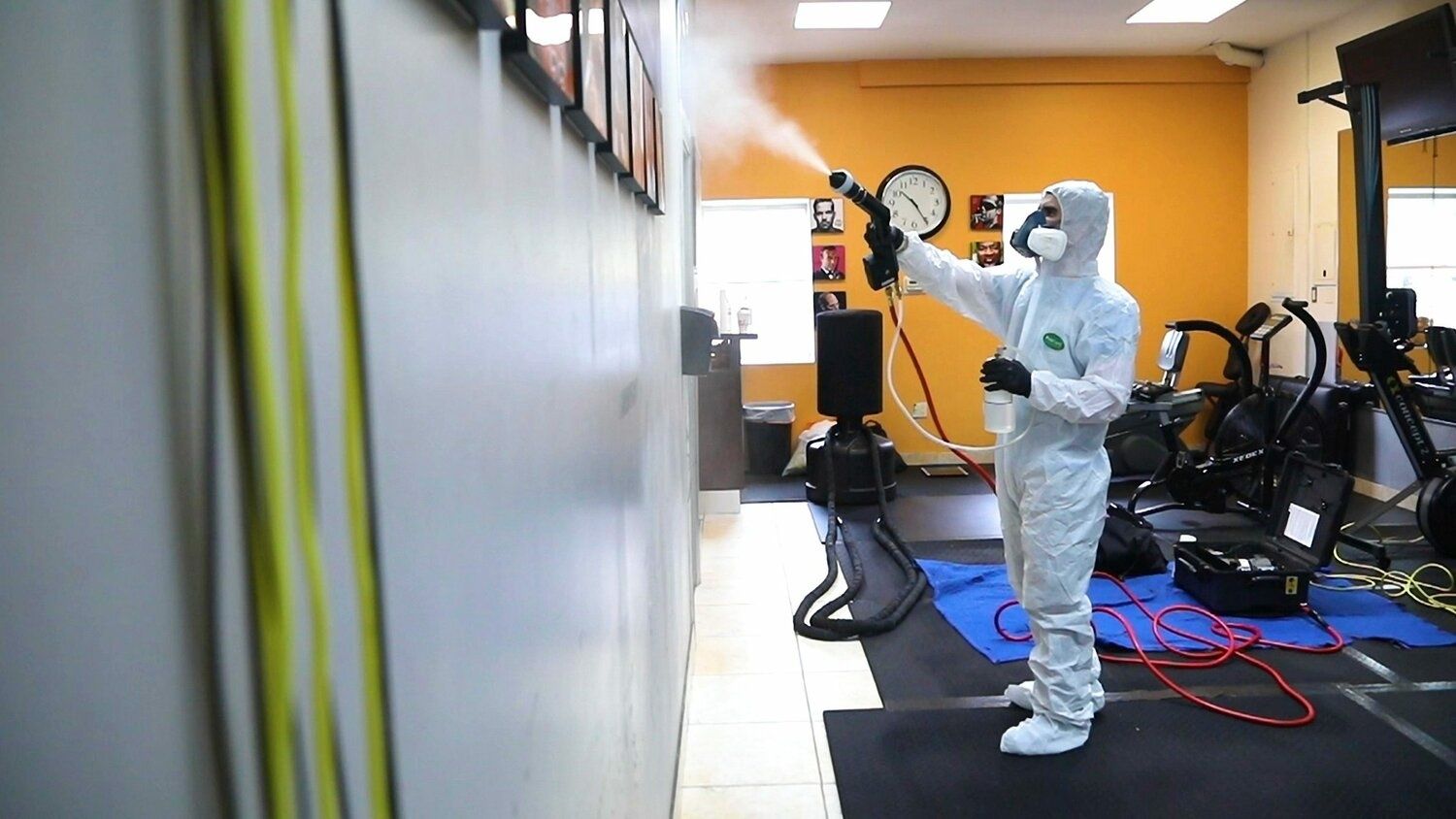 Профессионально и экологично устраняем любые вирусы в доме или офисе