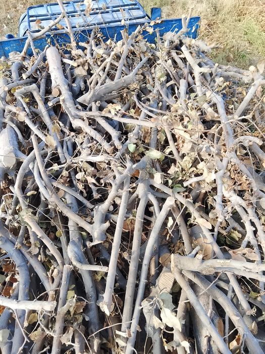 утин кунда сотилади