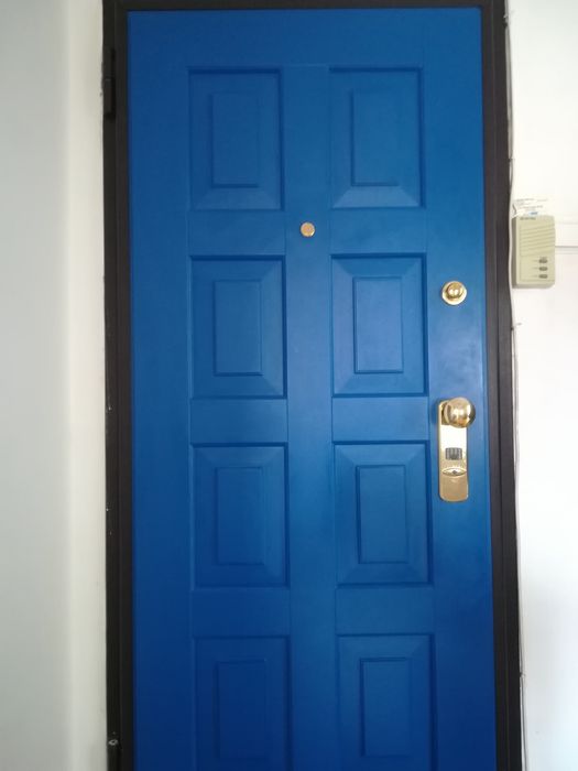 Vand Ușa intrare casa/apartament