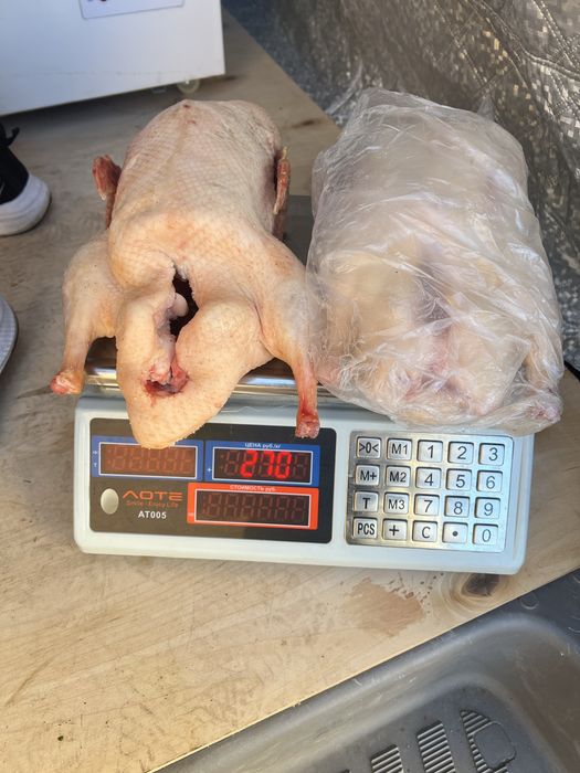 Продам мясо домашнего гуся и утки